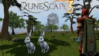 Make Profit Using The Hunter Skill! Runescape 3 Money Making Guide Runescape 3 2023 Low Level Reqs