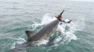 Great White Shark Kills Woman on Live Stream on November 15th, 2025
