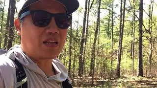 Video of Talimena State Park, OK from Troy W.