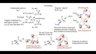 Stereochemistry: Prochirality