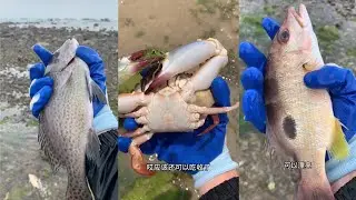 Today very happy i catching fish🐠crab🦀squid🦑eel🪱lobster🦞shrimp🦐 / Seafood  2025