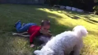 Dylan and Brainz