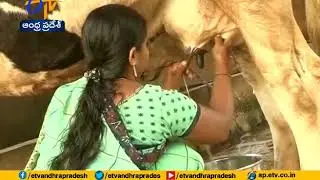 Govt Signs MoU with Amul | to Help Dairy Farmers in State