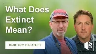 What Does Extinct Mean? Hear from the experts!