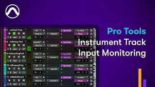 Мониторинг входных сигналов Pro Tools на инструментальных дорожках