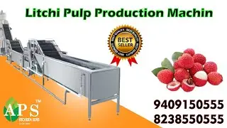 Litchi Pulp Production line// APS INDUSTRIES 7046650555