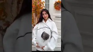 🇺🇦Kotozhama.com #идеяподарка #cat #котохуди