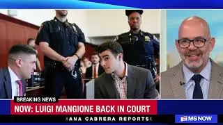 Luigi Mangione Suppression Hearing Explained by Lawyer Jeremy Saland | Ana Cabrera Reports on MS NOW
