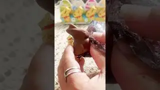 Unboxing Lindt GOLDEN Bunny 🐰🍫 | Chocolate Taste Test Review&rdquo;#shorts #choclateday#shortsfeed