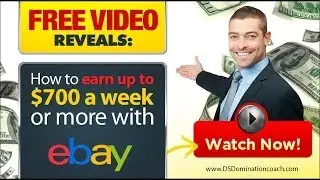 DS Domination | The Business Opportunity Video