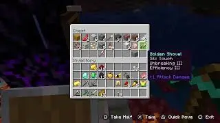 Playing mincraft