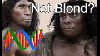 What We Know About Neanderthals