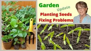 Indoor Vegetable Garden Update | Unboxing Seeds To Plant & Fixing Problems