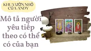 Chọn 1 tụ bài Tarot - Mô tả người yêu tiếp theo có thể có của bạn - Alo Andy