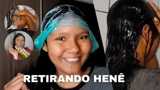 Retirando hen&ecirc;/ lavagem completa + finaliza&ccedil;&atilde;o