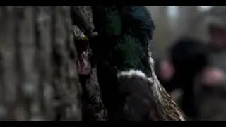 Natural Gear Brand Spot
