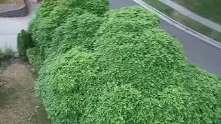 Camera Drone property inspection