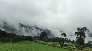 Umar Suleyman-[Bale Mountains National Park]