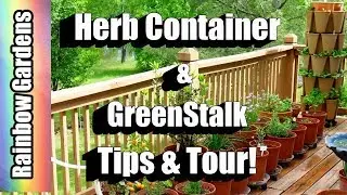 Herb Container & GreenStalk Tips and Tour, Basil, Chives, Spinach, Fennel, More!