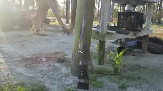 ruger gunsite scout rifle