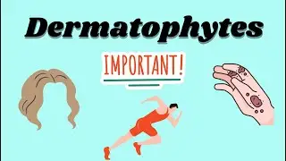 Dermatophytes by nélma