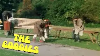 Down and Out in the Park: The Goodies' Struggle to Survive