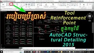 How to use Reinforcement  Point in AutoCAD Structural Detailing