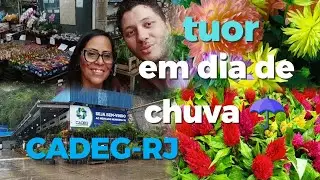 🔵 MERCADO MUNICIPAL DO RIO DE JANEIRO / MUITAS FLORES LINDAS!🌷🌱