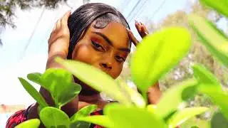 Sinatra Music Ke- Sweet melody (official music video)