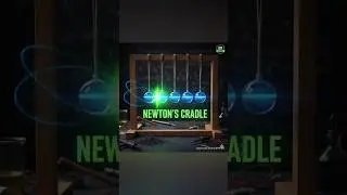 Physics of Newton's Cradle! #physics #experiment #science #curiosity #newtonscradle #shorts #youtube