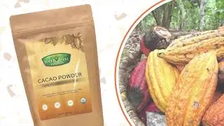 Our Raw Heirloom Cacao Powder