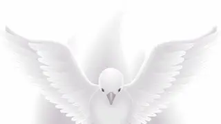 Christ Fountain of Prayer Ministry is live