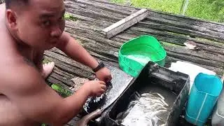 Operasi menyelam ikan di sungai ulu kabah 