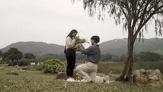 ThadZan - Our Proposal