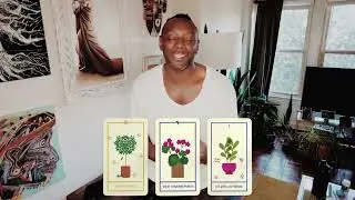 Houseplant Tarot by Minerva Siegel - Ask for help now and see things turn around #dailytarot