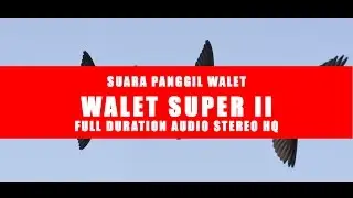 WALET SUPER | SP PANGGIL FULL DURATION AUDIO HQ - STEREO