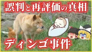 「あり得ない」が誤判を生んだ&hellip;ディンゴ事件の真相【ゆっくり解説】