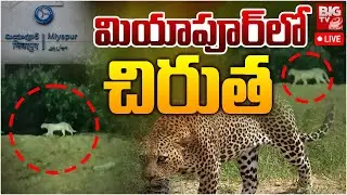 మియాపూర్ స్టేషన్ లో చిరుత LIVE | Miyapur Chirutha Puli | Leopard at Miyapur Metro Station | BIG TV