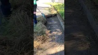 30 second lawn edge transformation #asmr #garden #diy #gardening #yardwork #satisfying #asmrsounds