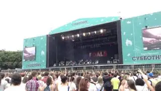 Foals 