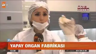 Yapay organ fabrikası - atv Gün Ortası