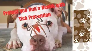 Is Your Dog Protected Against These Hidden Outdoor Threats?