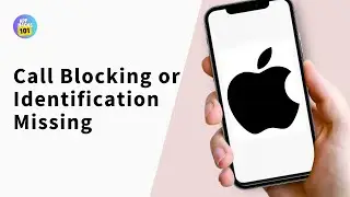 Call Blocking or Identification Missing in iPhone