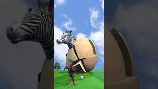 ready go Zebra Spiderman Funny animal animation #spiderman #funny #zebra
