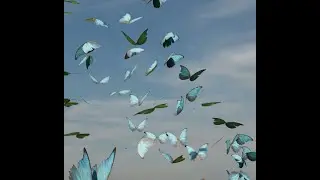Procedural Butterfly Animation Tyflow 3ds max | Download File Set Up