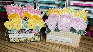 Pansy Petals Box Card