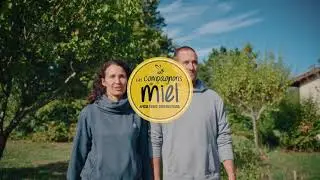 Les Compagnons du Miel, gardiens des abeilles