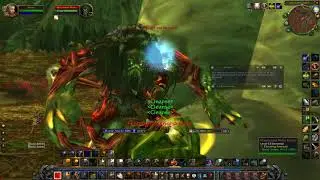 Retribution Paladin Leveling In Felwood