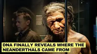 DNA Shows Neanderthals Got Genes From Us 250,000 Years Ago&mdash;And It Changes Their Origin Story Forever