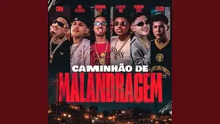 Caminh&atilde;o de Malandragem